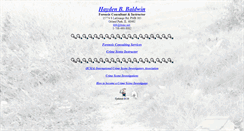 Desktop Screenshot of feinc.net
